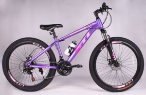 Яркие и насыщенные оттенки: новый взгляд на классические велосипеды